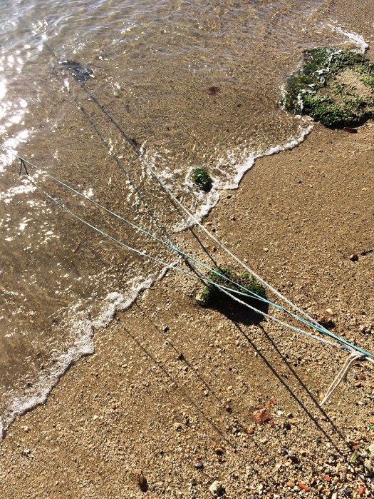 A tarde e as certezas