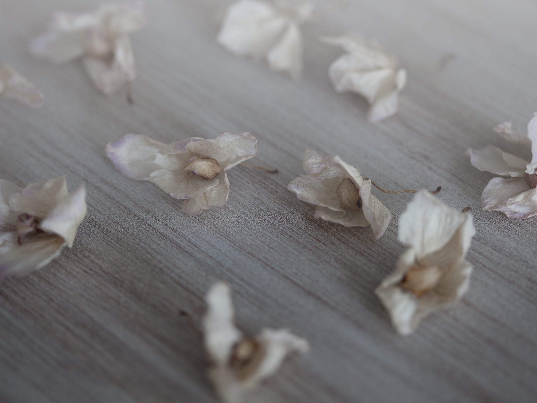 7EE5E917-2931-41C0-BB9F-D9FF8352CA2E