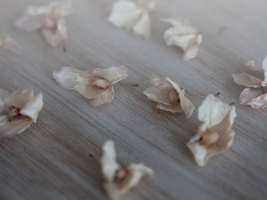 7EE5E917-2931-41C0-BB9F-D9FF8352CA2E