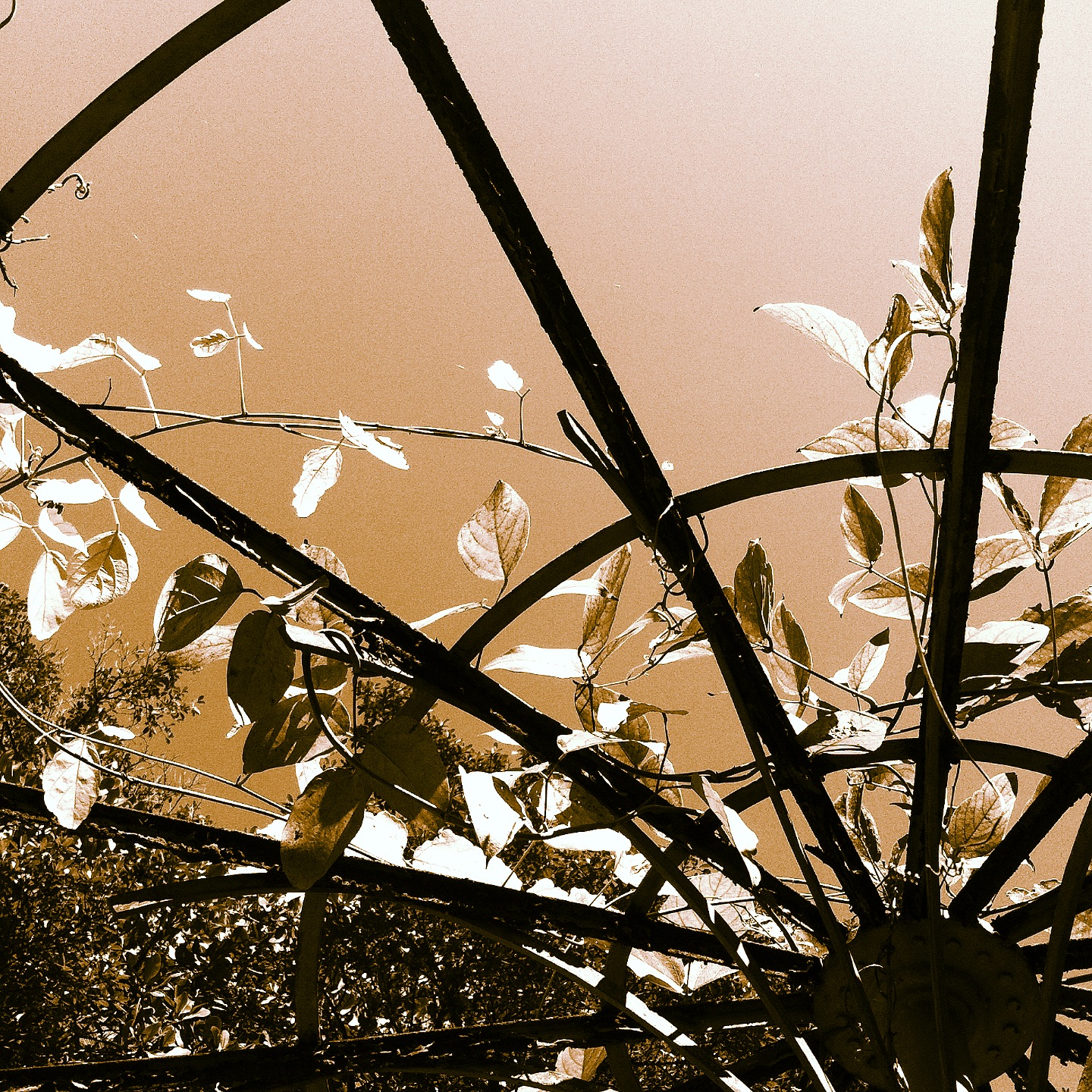 DA5462F6-C833-49FC-AA87-85143D2B4161