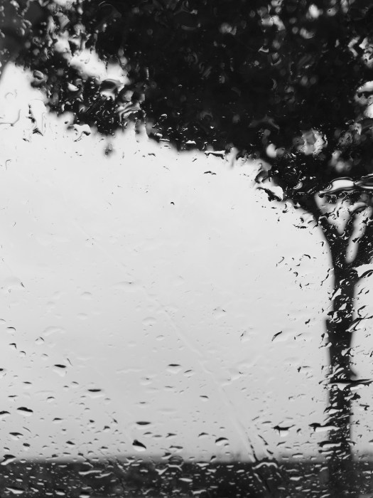 FC993463-5FC7-4367-9052-D236ECC48E3C