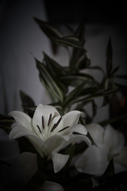 083E1F87-D3A2-460D-A28C-86087B65EF85