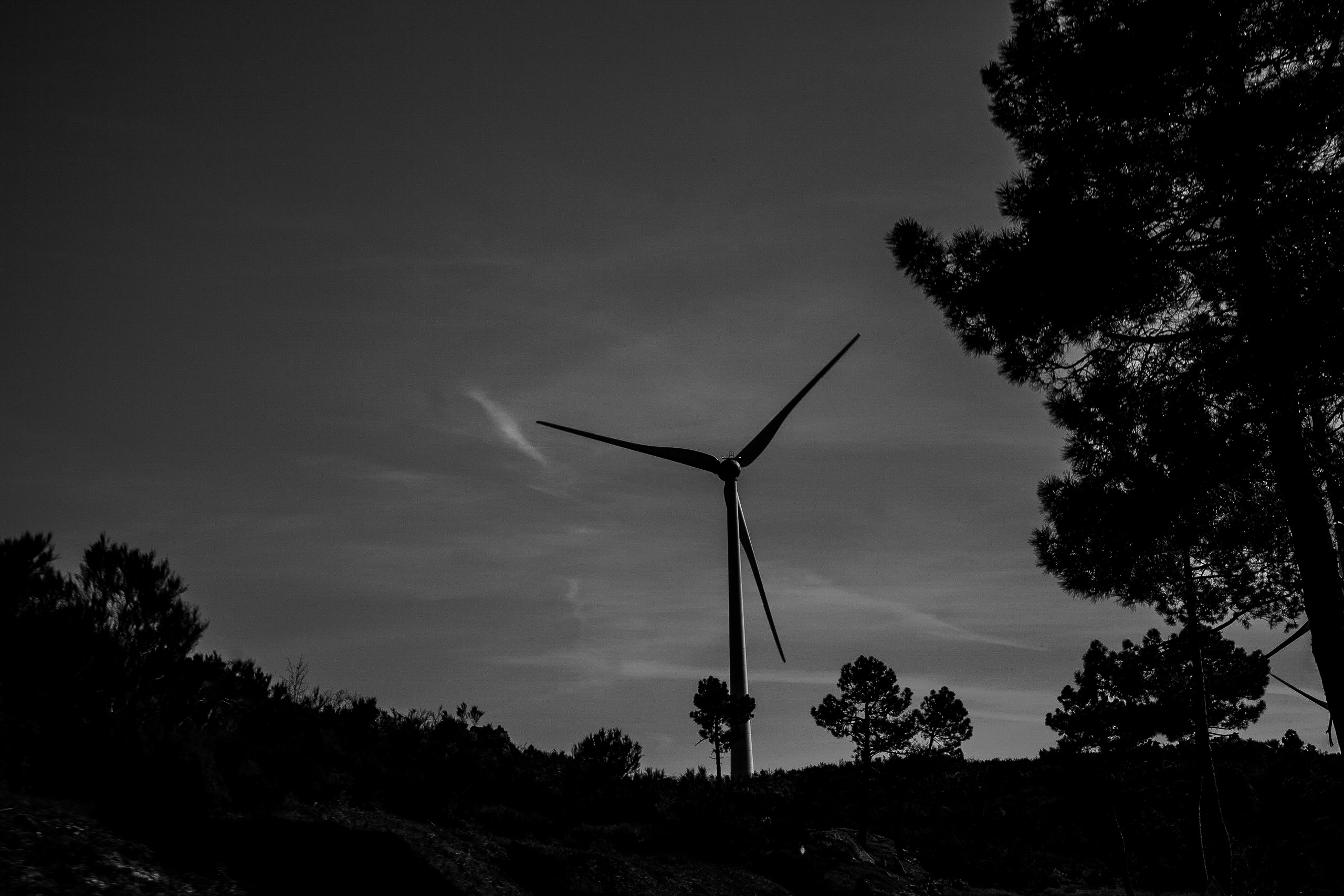 51A8911E-0652-4404-8605-E4A61F4120FA