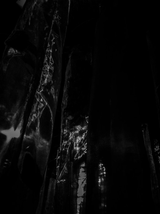 14DE9070-C220-4611-9F94-7A453F5BE934