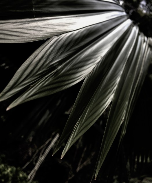 BF3196A1-0DD4-4A89-BAD3-8350D8B55F53