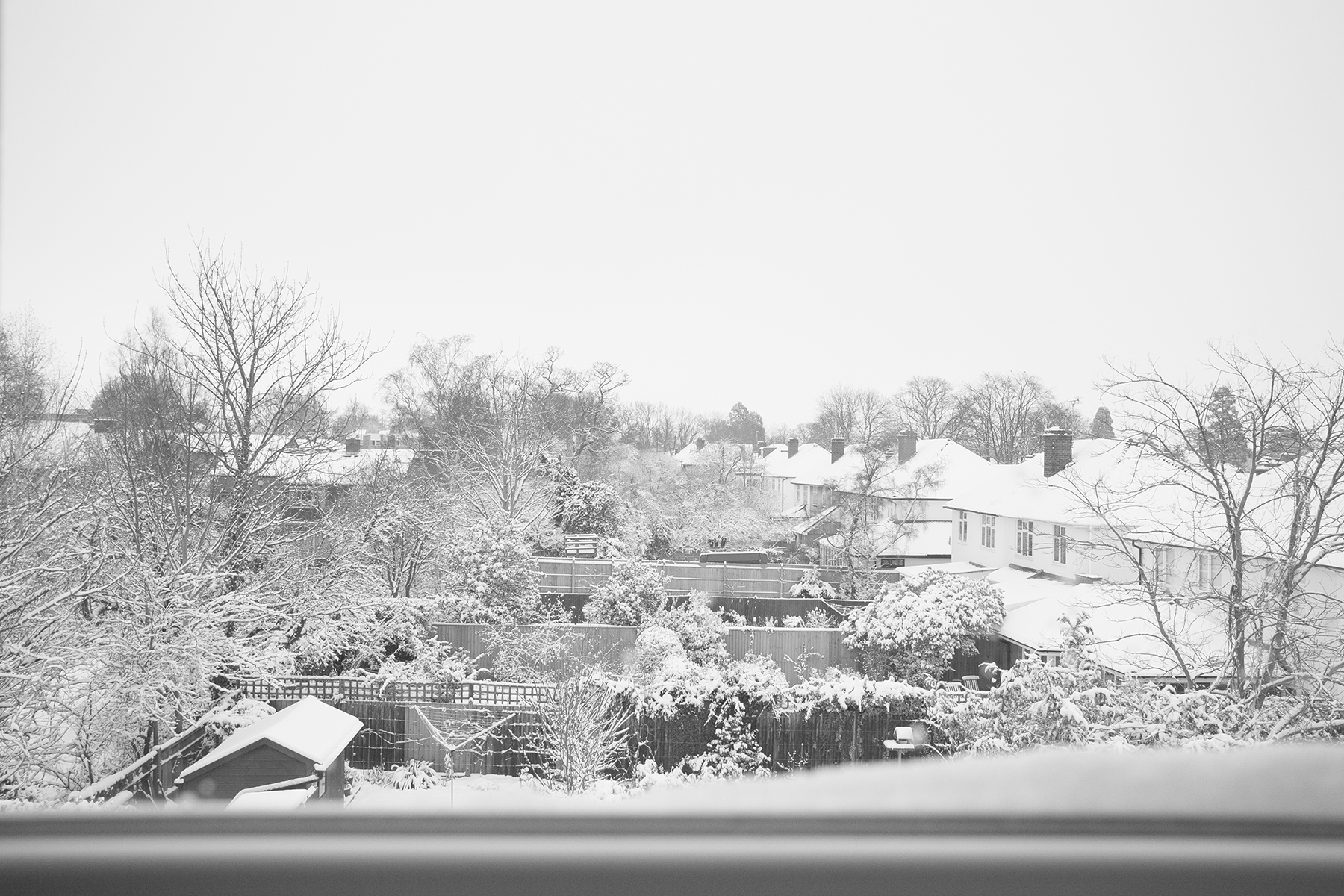 D05E3566-96F5-445F-B7F4-3F84DF7E1AE7