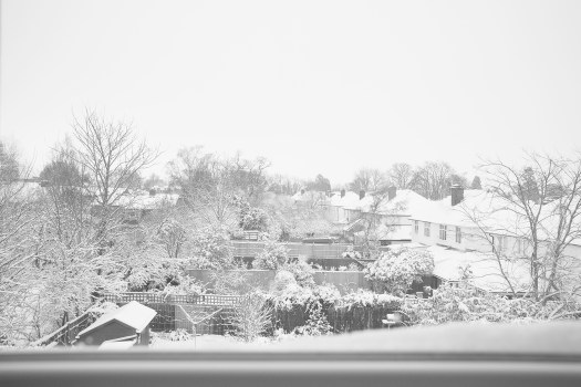 D05E3566-96F5-445F-B7F4-3F84DF7E1AE7