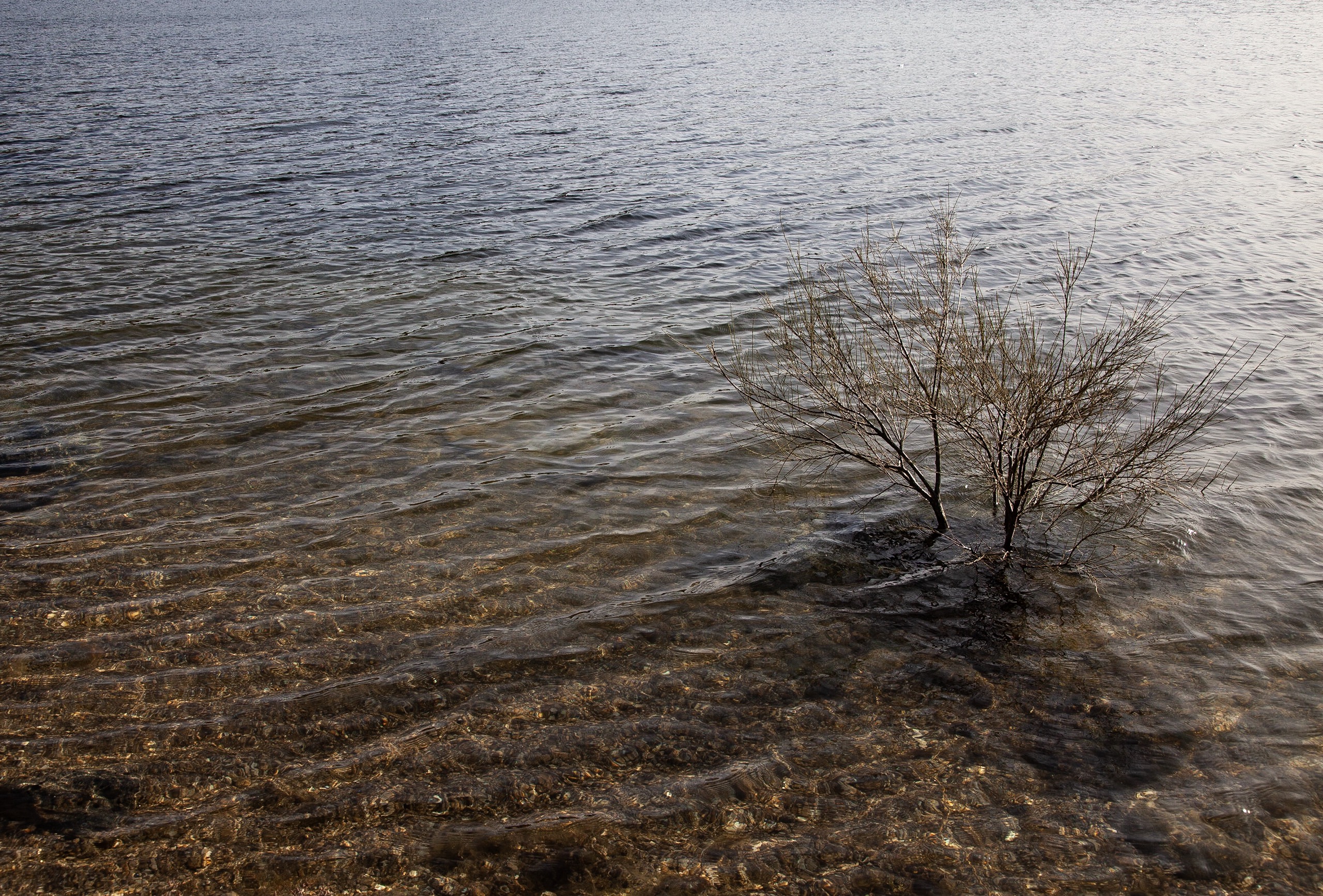 F0D3EBAF-5F39-43B2-96B6-83EBE20016B6