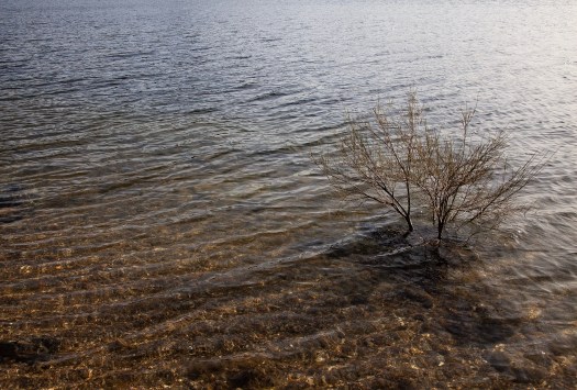 F0D3EBAF-5F39-43B2-96B6-83EBE20016B6