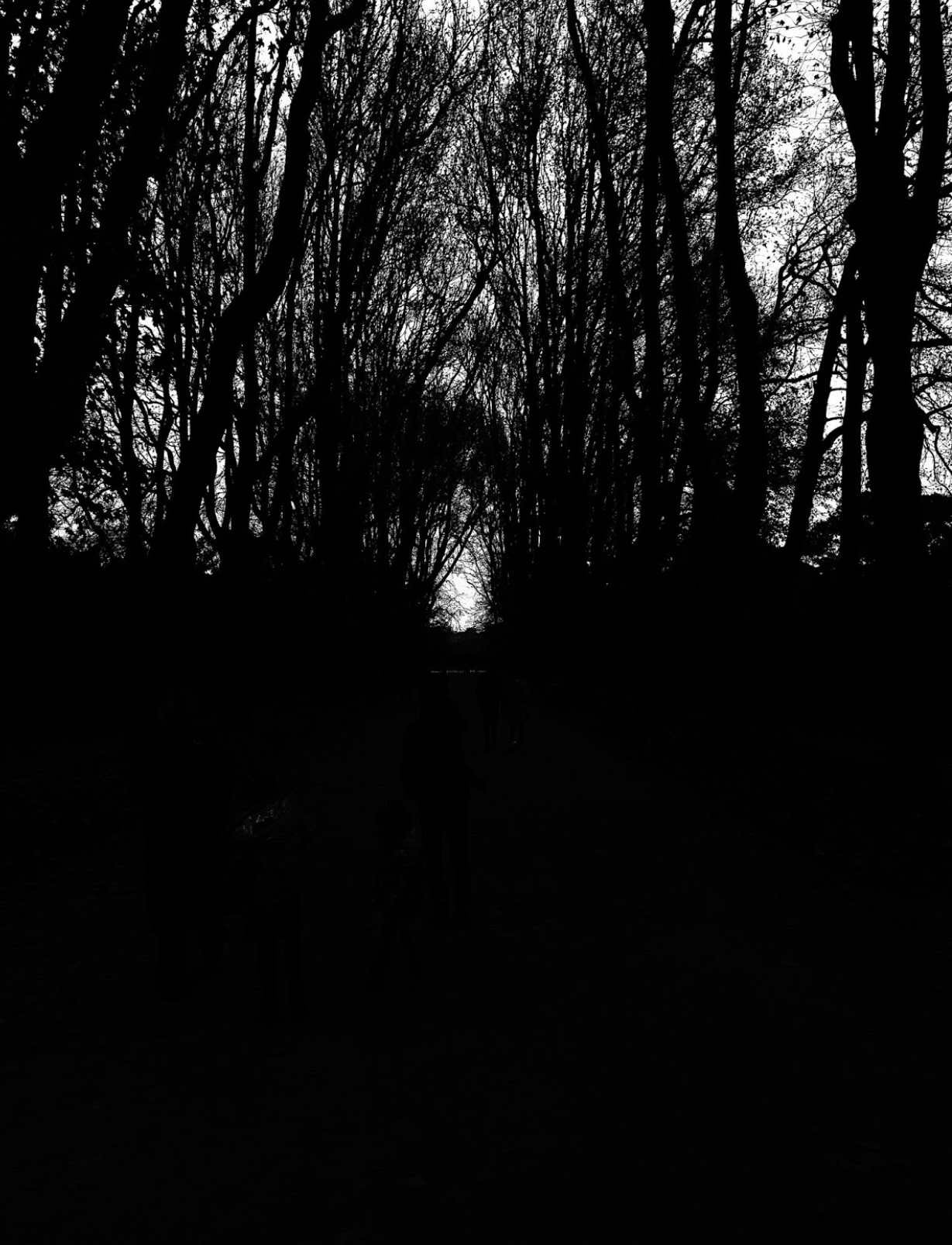 58c1c6ed-9026-4476-b5b0-cf16cedce435