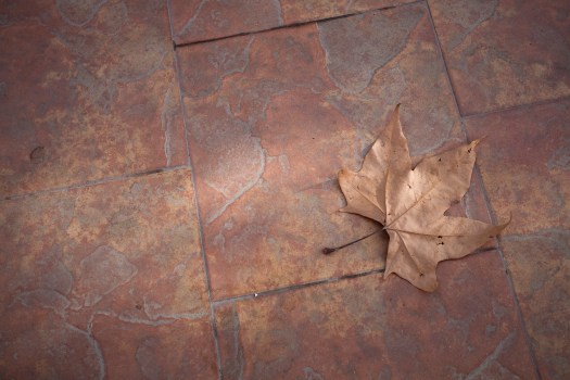 Colaboração com Catarina Vale